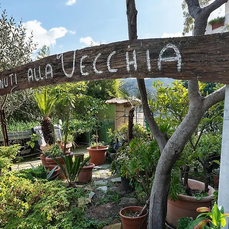 Pensionat La Vecchia
